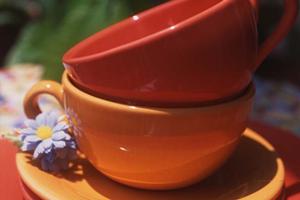 樹木葬について知りたいなら